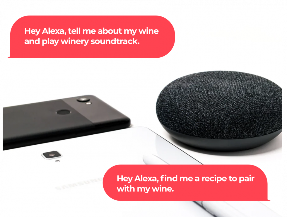 voice assistants examples