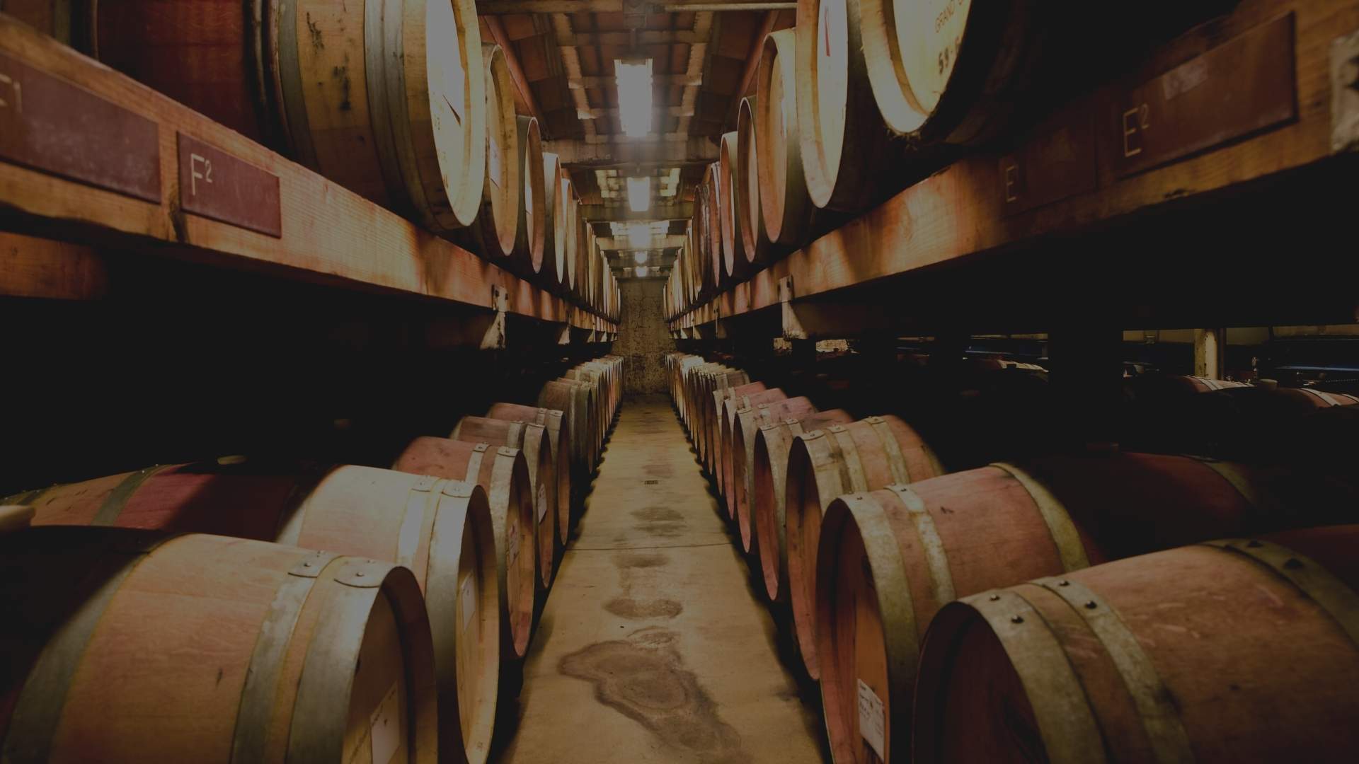wine barrels line up at a winery