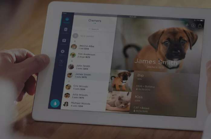 tablet showing pet info at veterinary clinic