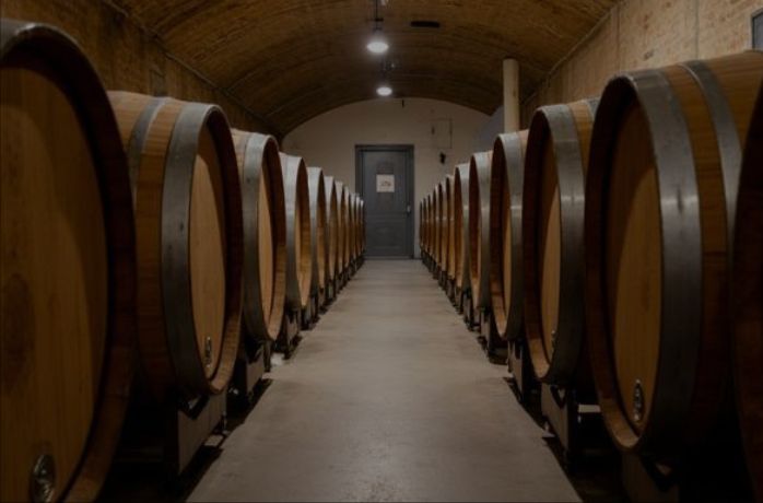 wine barrels line up at a winery